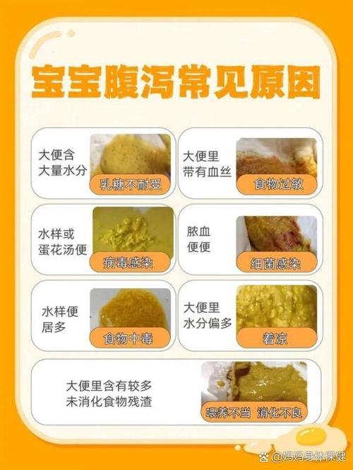  腹泻
