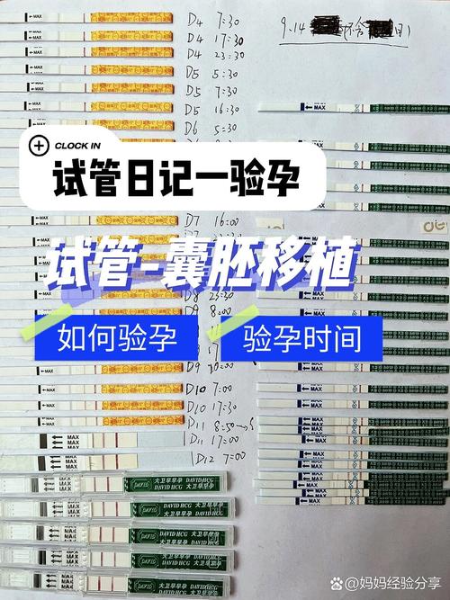 试管婴儿后如何在医院验孕？