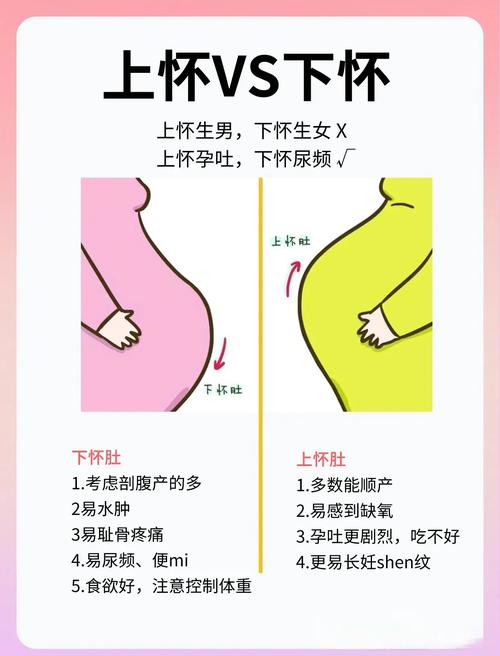 受孕区别
