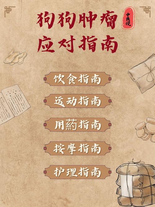 应对指南