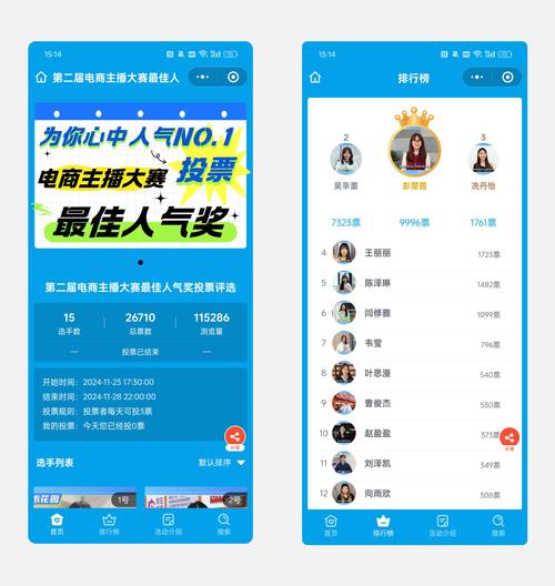  人气投票