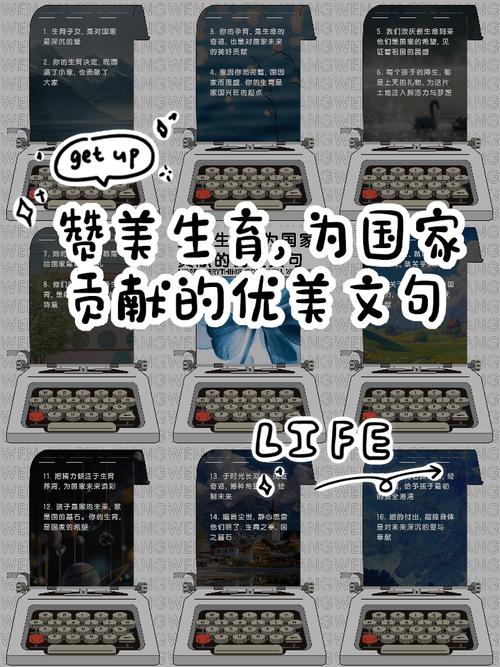 生育贡献
