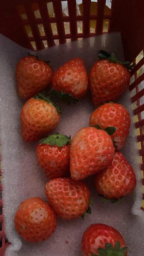 试管婴儿饮食禁忌：草莓能吃吗？