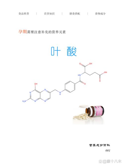  维生素B9