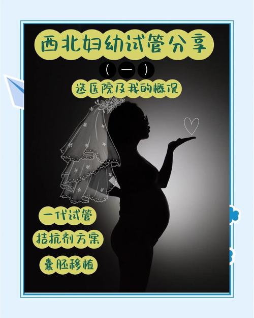 西北试管婴儿医院推荐及评价？