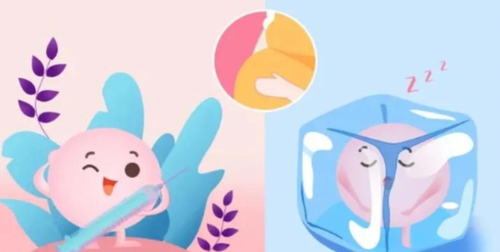 试管婴儿技术：天气的秘密联系？