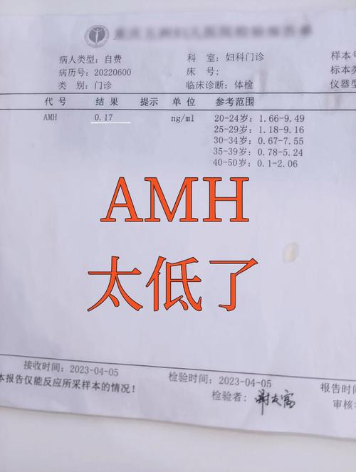 amh数值