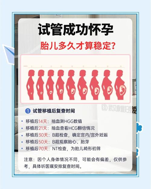 试管婴儿：自然孕育还是人工制造？