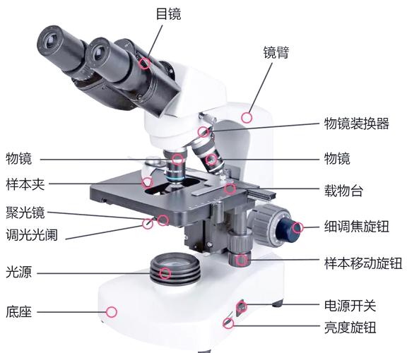 显微镜系统