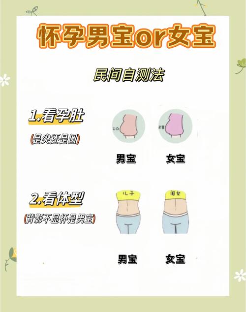 怀孕选择